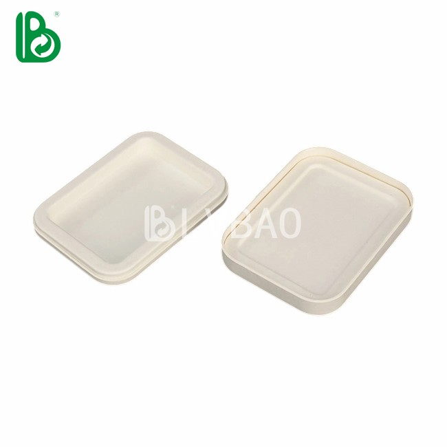 Game Card White Pulp Packaging Box