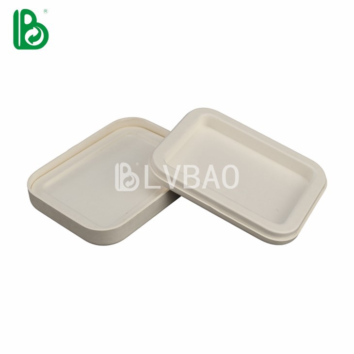 Game Card White Pulp Packaging Box